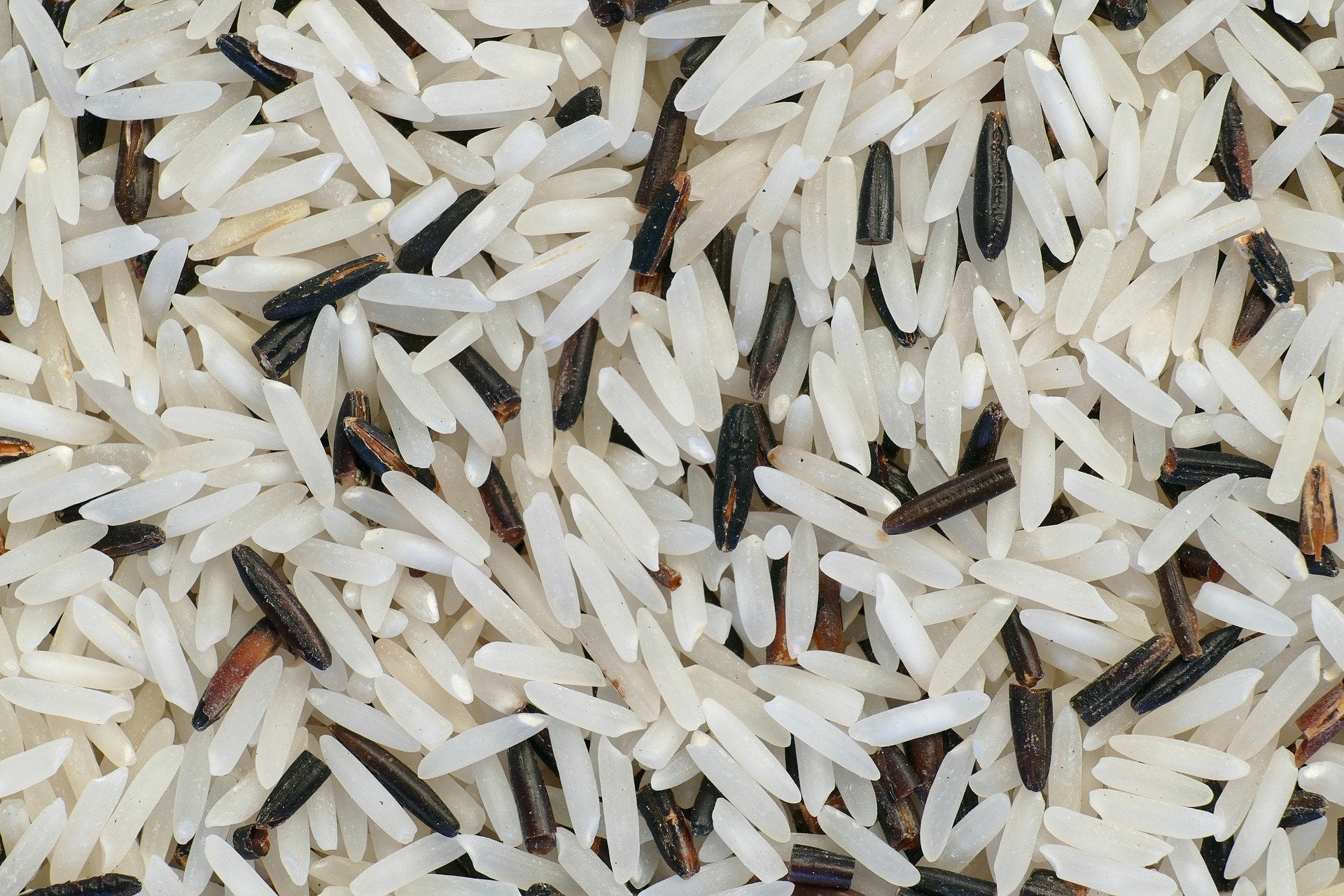 Can a Person with Diabetes Eat Wild Rice – DSC