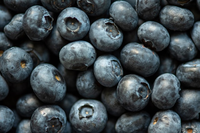 Can Bilberry Help Improve Circulatory Health in Adults with Diabetic Retinopathy?