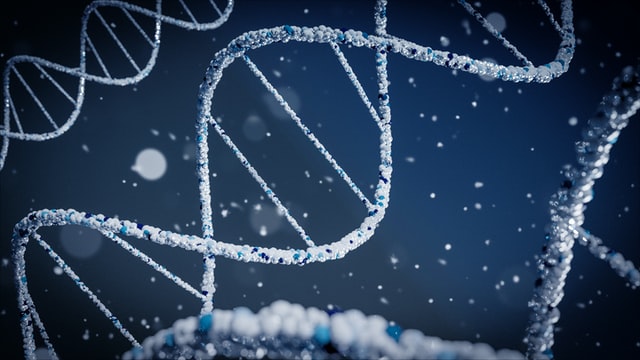 Is Diabetes Genetically Inherited?